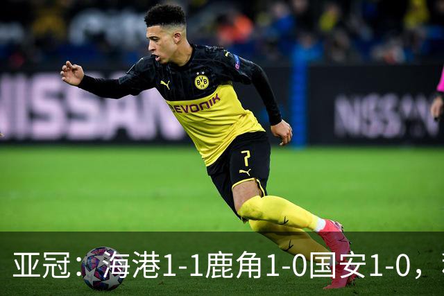 亚冠：海港1-1鹿角1-0国安1-0，积分榜实时更新