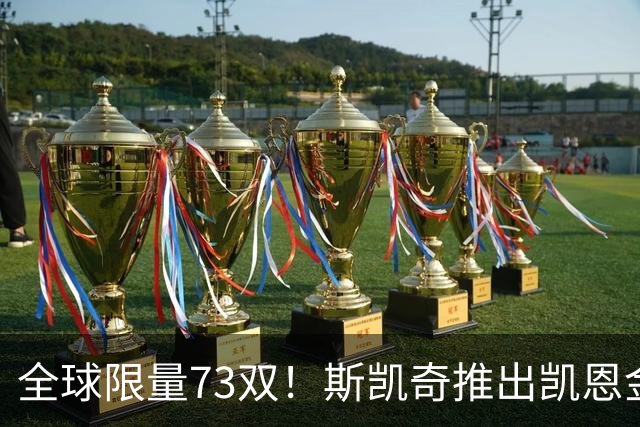 全球限量73双！斯凯奇推出凯恩金球专属特别版球鞋 每双220英镑