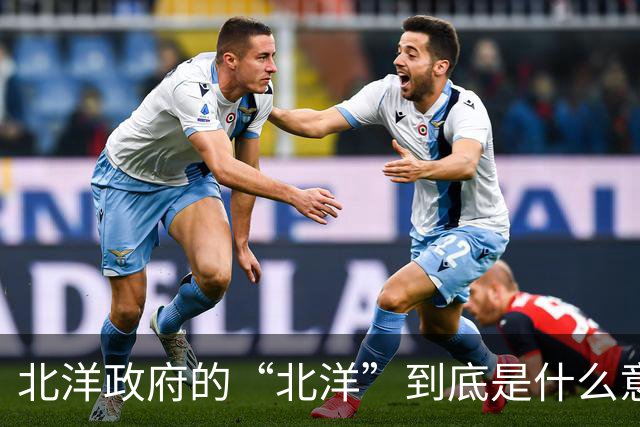 北洋政府的“北洋”到底是什么意思？不是北方洋人的意思