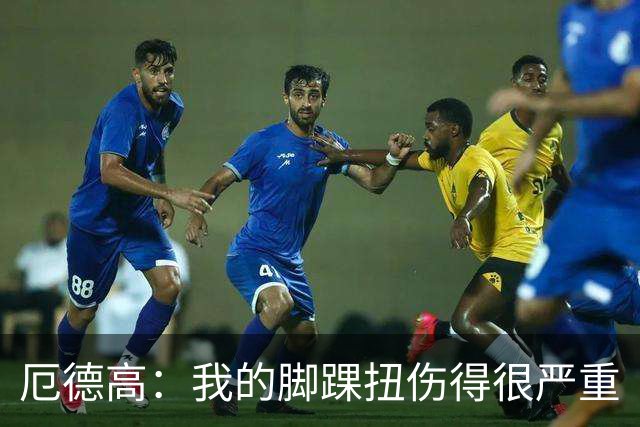 厄德高：我的脚踝扭伤得很严重