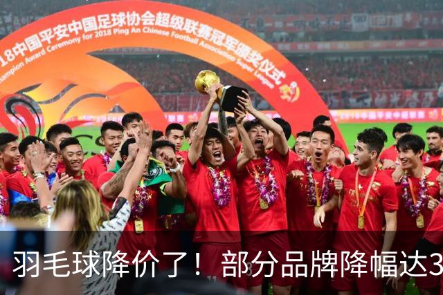 羽毛球降价了！部分品牌降幅达30%