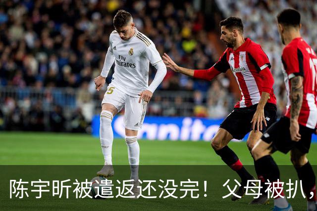 陈宇昕被遣返还没完！父母被扒，扬州公司洗白?背后的人憋不住了